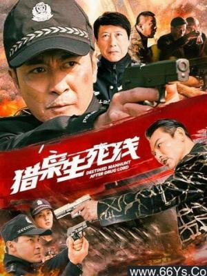 山海食记 纪录片封面