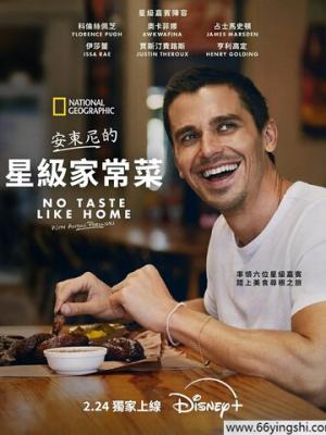 雾港迷局 都市悬疑剧封面